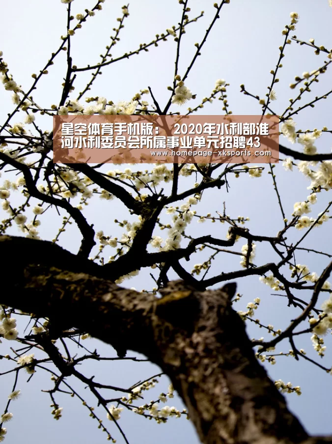 星空体育app
