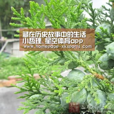 藏在历史故事中的生活小哲理_星空体育app(图1) 星空体育下载