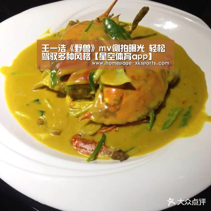 星空体育app