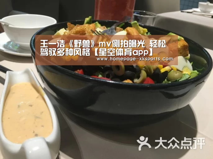 星空体育官网下载